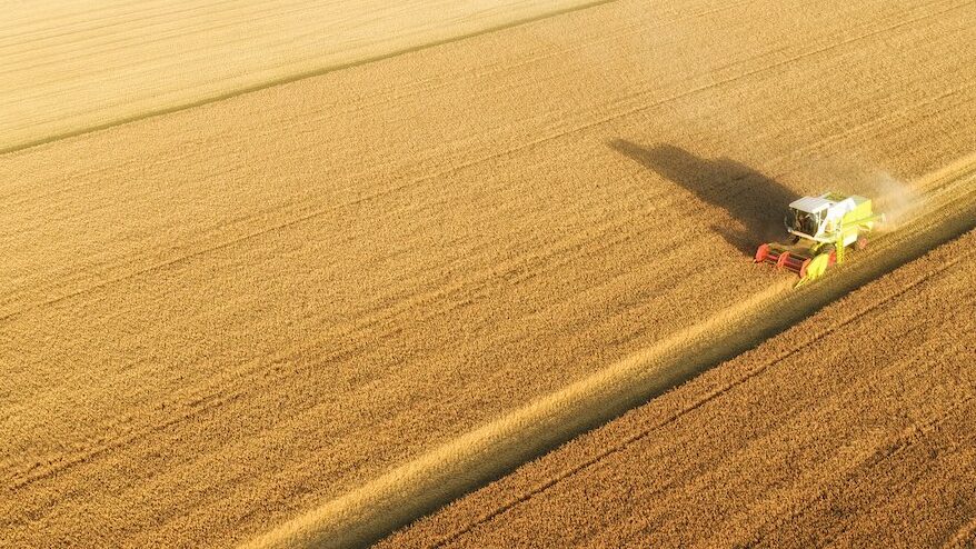 Aerial,View,On,Combine,Harvester,Gathers,The,Wheat,At,Sunset.